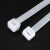 铸固 扎带大号 自锁式尼龙塑料捆绑捆扎带强力扎线束缚束线带电线扎条 10*800mm（100条）