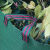 防水pp编织袋园林园艺方形落叶袋花园杂草树枝树叶收集袋大容量 50*50*50cm
