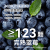 宝宝格尔顿果肉蓝莓酱123g/瓶 92%原果膳食纤维益生元烘焙涂抹面包酱 蓝莓酱+XO海鲜酱88g【+贈品】
