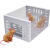 捕鼠笼捕鼠捉老鼠笼子灭鼠全自动室内耗子连续循环捕鼠只进不出 老鼠笼(1个装)+诱鼠肠1根