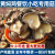朗小贝饭店餐饮黄焖鸡无根香菇干货蘑菇农家直销冬菇商用食用菌5斤