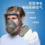 防毒面具全面罩防毒面罩全脸防尘电焊呼吸喷漆防护打农毒气 (20张)6800全面具专用贴膜