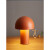 总府极简蘑菇灯北欧家用书房氛围灯网红ins风个性创意主卧室床头台灯 橙色-直径20cm-白光