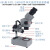奥卡XTL-2400上下光显微镜7-45X连续变倍双目体式手机维修