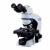CX33CX23CX31生物荧光医疗科研双目三目显微镜 奥林巴斯BX43