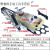 融测上海华威CG1-30/100半自动火焰切割机小乌龟改进型割圆跑车等离子 CG130K快速等离子耐用型B5一根凹轨