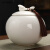 飞洁尔（FJE）品牌陶瓷茶叶罐羊脂玉德化白瓷密封罐绿茶散茶盒存储通用 羊脂玉-如意茶罐-鎏金线款安全 0ml