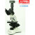 光学生物显微镜 PH50-3A43L-A 1600X宠物水产养殖半平场物镜 标配单目TV 1600倍