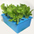 无土栽培蔬菜设备家庭阳台水培种菜机室内自动水耕种植箱塑料花盆 绿色款水培箱 中等