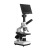 敏捷 高清生物显微镜35B型水产七寸一体机高倍光学教学科普双目显微镜 B型水产一体机+20倍广角目镜