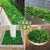 仿真草坪假绿植带花隔断植物墙塑料装饰绿草皮垫地毯造景摆设窗台 5厘米宽 X 60厘米长