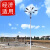 LED高杆灯户外12米15米25米广场社区防水道路球场升降式路灯自动 高杆灯一8米