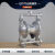 QBY25/40气动隔膜泵不锈钢耐腐腐蚀铝合金抽胶泵塑料铸铁压滤机泵 QBY/K80铝合金丁腈膜片