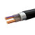 FIFAN 2芯铜电缆线硬线 ZC-YJV22电压0.6/1KV铠装地埋线2*25平方