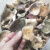 宜享健康【野生】正宗野生青头杂青菇白菌杂菇天然野蘑菇 500克2包