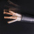 成天泰 电缆 WDZN-YJY-4*150+1*70 铜芯低烟无卤阻燃耐火电力电缆 1米价