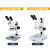 力辰科技生物显微镜大视场目镜带CTV专业光学高清jing子螨虫显微镜 LC-SMS-6L+环形灯 