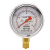 红旗牌仪表YTN-60/YN-60耐震压力表抗震压力表充油压力表负压表 0~0.1MPa