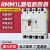 上海人民塑壳CM1LE漏电断路器RMM1LE4P100A225A250A400A630A透明 125A 4p