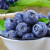 橙央新鲜蓝莓 酸甜 现摘现发蓝莓鲜果新鲜水果宝宝护眼鲜果 优选蓝莓 125g*6盒  单 果 18-22mm