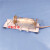 大鼠固定器 小鼠固定器 尾静脉注射抽针灸保定 实验用老鼠筒架 PC筒含票160-350g