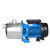 水泵BJZ全自动增压泵不锈钢自吸泵喷射泵自来水加压泵 BJZ075B塑叶轮550W220V