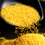 滇初沁州黄小米山西特产小黄米2023年新米小米粥五谷杂粮 2.5kg家庭实惠装（5斤装）