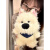 班达熊西高地玩偶可爱小狗女生睡觉专用抱着睡的公仔布娃娃礼毛绒玩具 西高地【牛仔帽蓝白毛衣白包】 (25)厘米