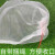 贝傅特 塑料网纱袋 浸种催芽网兜防虫防鸟水果纱网袋 白色105*70cm10个