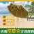 梦米欧 仿真稻草伞沙滩露营遮阳伞海滩伞户 （伞面直径）1.8米稻草伞