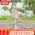 飞鸽儿童自行车6-10岁自行车儿童单车儿童自行车女童自行车学生 16寸标配紫色辐条轮+低梁+礼包