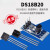 DS18B20测温模块 温度传感器开发板 DS18B20 TO-92 温度采集 DS18B20 TO-92