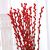 双盟银柳真花鲜枝摆件红色客厅抱抱桶花卉年宵花招财装饰挂饰干枝干花