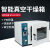 电热恒温工业干燥箱实验室用工业烘箱烤箱工业真空测漏 普通型DZF-2