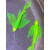 蝶翼斑马鱼长尾长鳍古法小鱼观赏鱼荧光冷水鱼鱼 大号（绿翡翠）蝶翼斑马鱼5-6cm