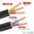 沈缆红星 电线电缆YJV 3*10+1*6平方四芯硬线国标3+1铜芯电缆线 1米