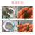 ergo瑞士进口.5910粘珠宝胶水专用镶嵌玉器修复透明无痕戒指饰品珍珠 5910-10g带滴管