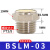 气动接头平头铜消声器BSLM-01/02/03/04/06/M5铜质静 BSLM-03 (3分)