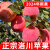中鲜生2024年新果陕西洛川红富士苹果水果精品彩箱礼盒脆甜 洛川苹果5斤装（70-75mm）