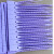 号树标签扣二维码扎带大树苗木园林记号锁防盗防拆一次性塑料封签 紫色33厘米100条