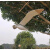 创意木制会飞翔的海鸥儿童房民宿空中悬挂吊饰逗猫玩具手工艺品