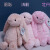 正版英国jELLYCAT邦尼兔害羞粉色米色银色毛绒玩具宝宝安抚抱枕 浅桃红色邦尼兔 31CM