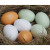 陌遇（MOYU） 仿真实心鸡蛋 木制仿真实心假鸡蛋玩具初生仿真石头道具模型假的 褐色鸡蛋1个(实心木质)