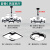 2024年新款北欧客厅吊灯现代简约大厅灯大气主灯餐厅卧室中山灯具 套餐6（两室两厅）