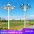 LED球场高杆灯6米8米10米12米15米20米25米灯中杆灯升降式广场灯 8米T型  2*LED150W投光灯