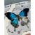机械蝴蝶标本机械蝴蝶机械物种diy标本摆件盲盒零件模型手工diy材 翠凤蝶