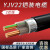 YJV22国标铜芯铠装电缆2芯4/6/10/16/25平方户外工程地埋电线缆 YJV22国标2*10