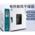 500度高温烘箱干燥箱恒温实验室试验箱400℃烘干箱商用 101-2AS(350度) 永光明