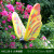 花园摆件仿真发光大蝴蝶雕塑户外园林景观草坪灯装饰园区夜光小品 荧光绿 HY1136-9