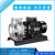 南方南泵水泵ZS50-32ZS80-65不锈钢卧式环泵单级泵水处理供水给水 ZS65-40-200/11SSC
